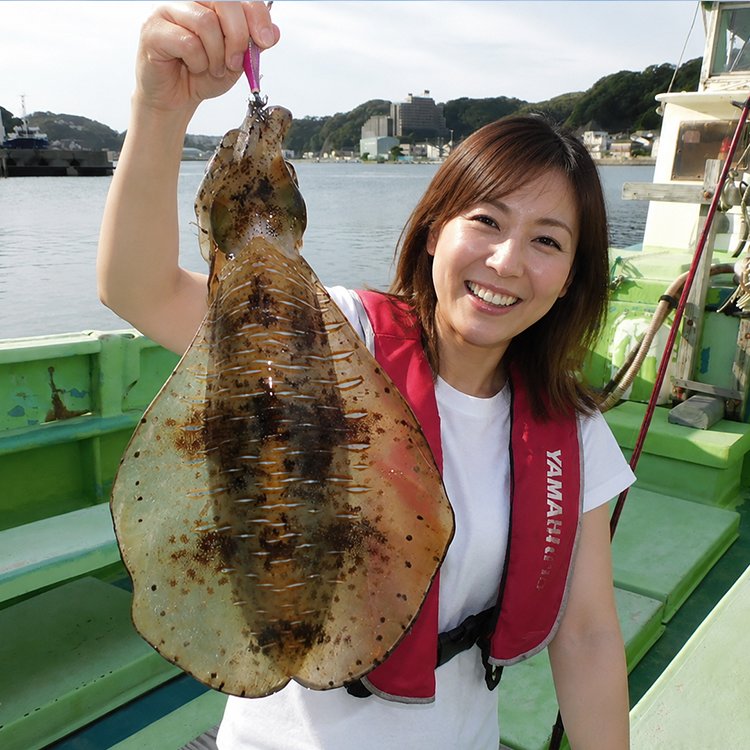 アオリイカ釣りプラン（エギ釣り）